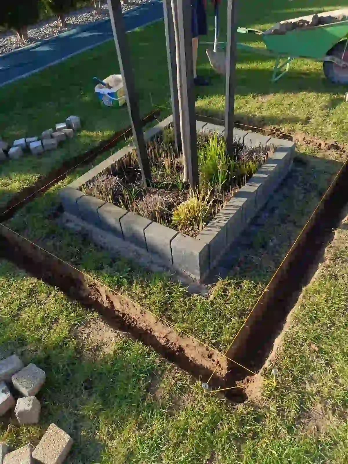 Przygotowanie rabaty i obrzeży wokół drzewa Rzeszów – przed