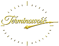 Terminowe wykonywanie usług LadyFix Rzeszów